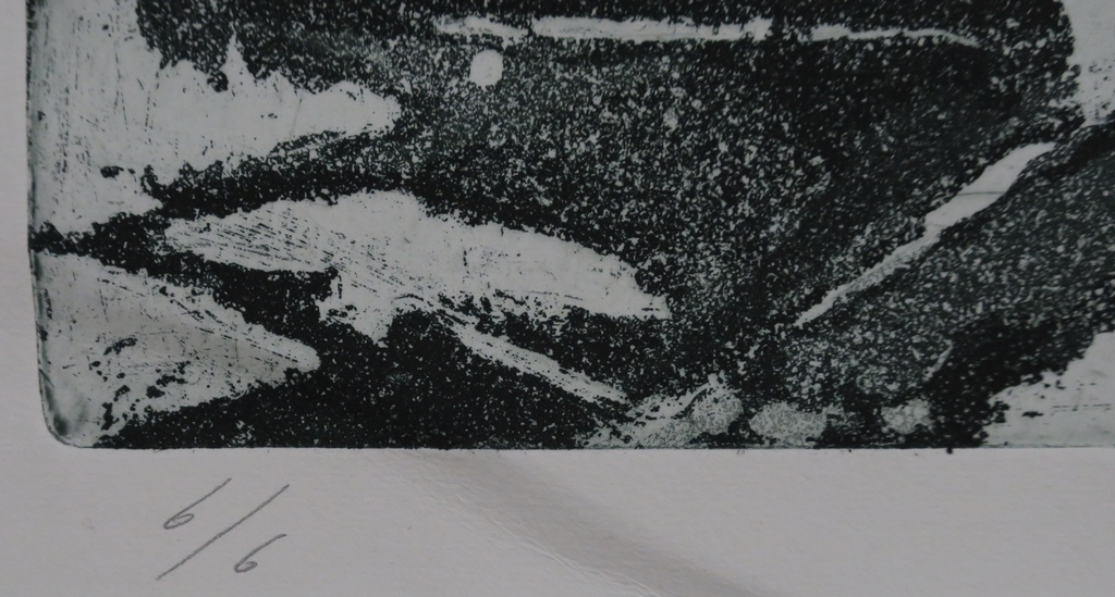 Jacques van Erven: Ets, Botanisch (groot) kopen? Bied vanaf 1!