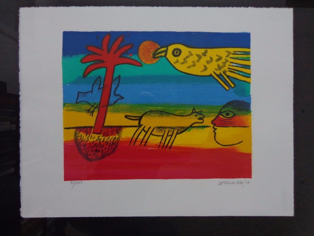 CORNEILLE / REGENBOOGKLEUREN / KLEURLITHO / 62x80cm / KADER / SIG kopen? Bied vanaf 110!