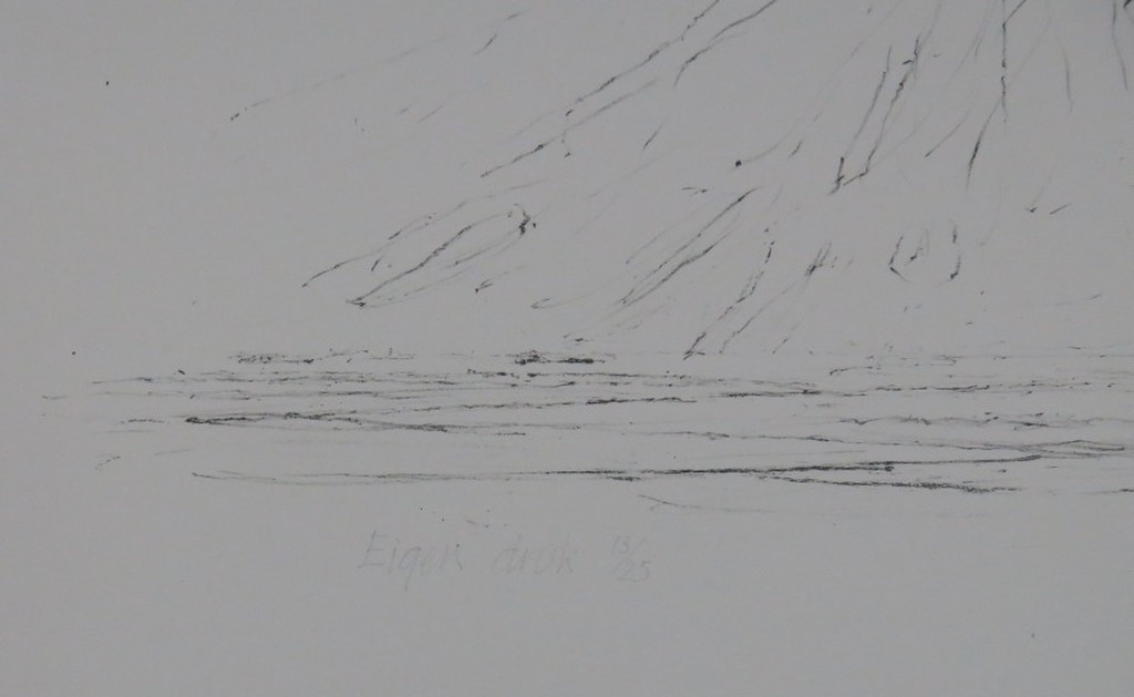 Willem den Ouden: Litho, Z.T. kopen? Bied vanaf 1!