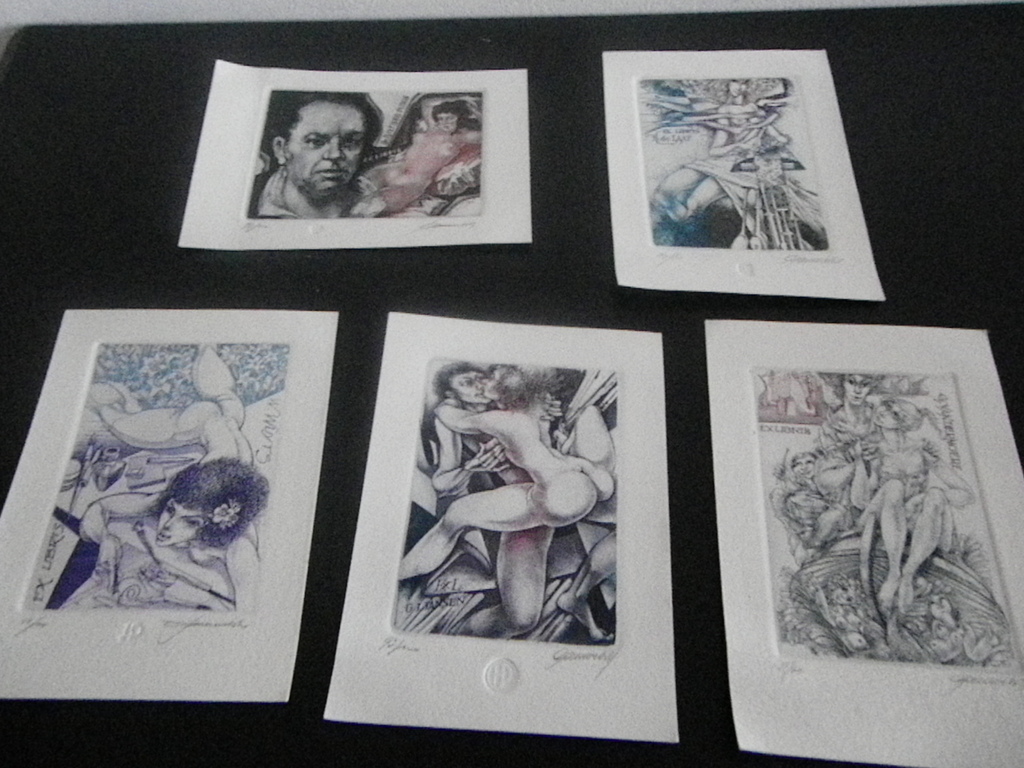 hedwig pauwels kopen? Bied vanaf 20!