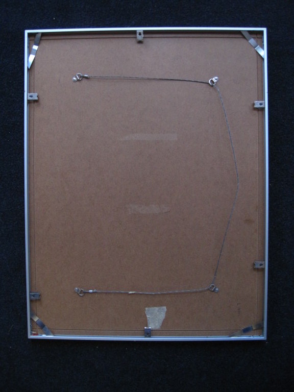 Kenmerkend Quintus Jan Telting aquarel "Neushoorn" 1987 Suriname ongesigneerd kopen? Bied vanaf 1!