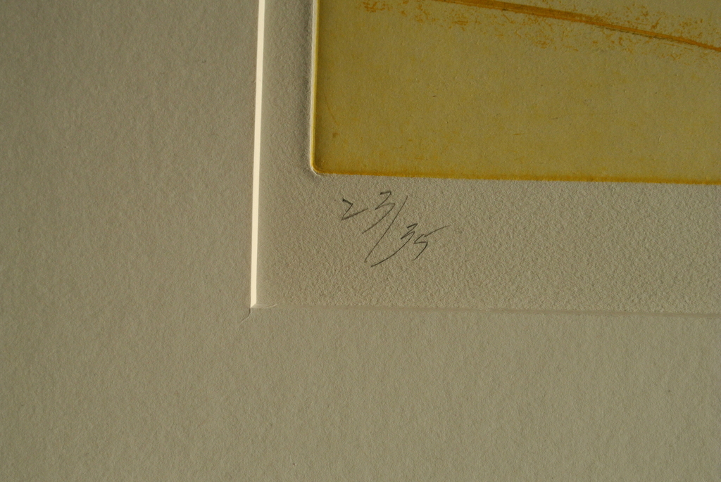 GER LATASTER. Grote Kleurenets z.t.1992. Handgesigneerd/genummerd  Oplage 25/35 kopen? Bied vanaf 165!