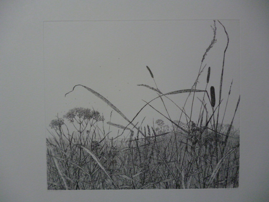 Reinder Homan - lijnets - De Brug (IJsselbrug Zwolle) verkocht voor € 120!