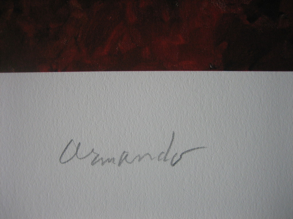 Armando - "Die Blume" - Giclee - Handgesigneerd en -genummerd - 2016 kopen? Bied vanaf 95!