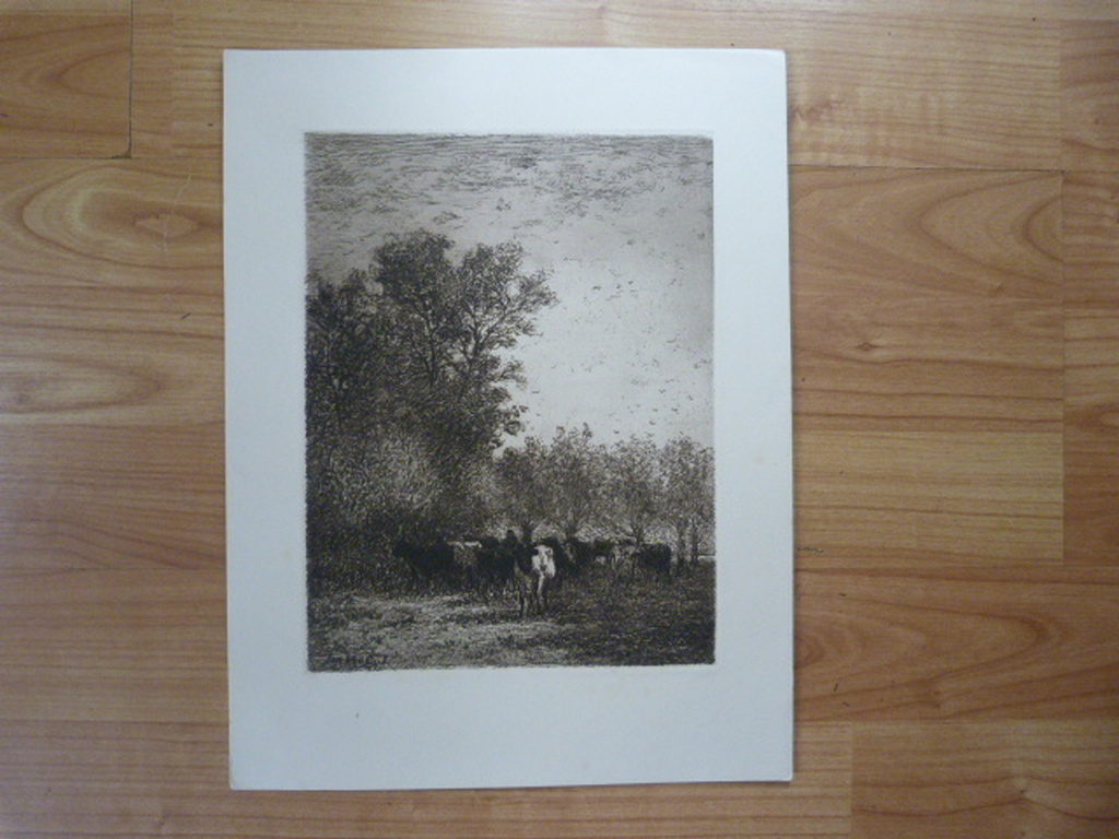 Jan Vrolijk  (  1846 - 1894  )  -  twee etsen. kopen? Bied vanaf 1!