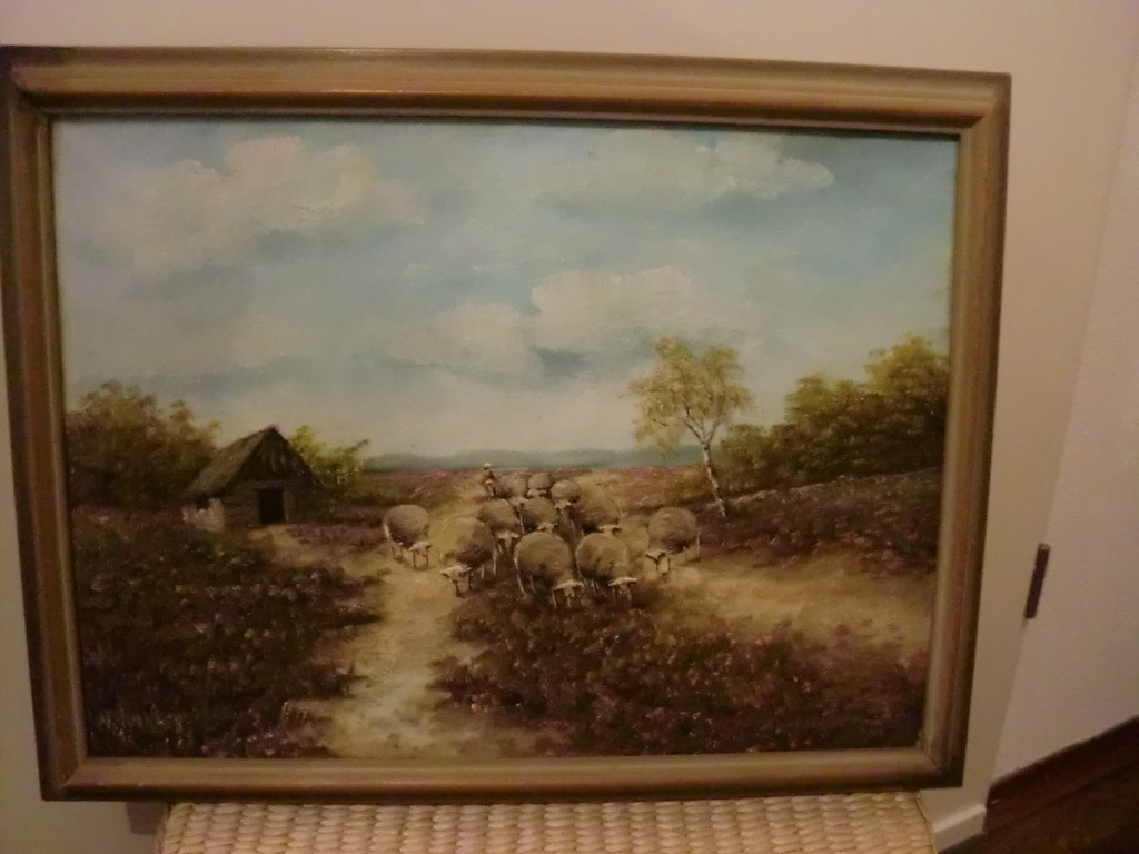 Schapen op de Heide kopen? Bied vanaf 30!