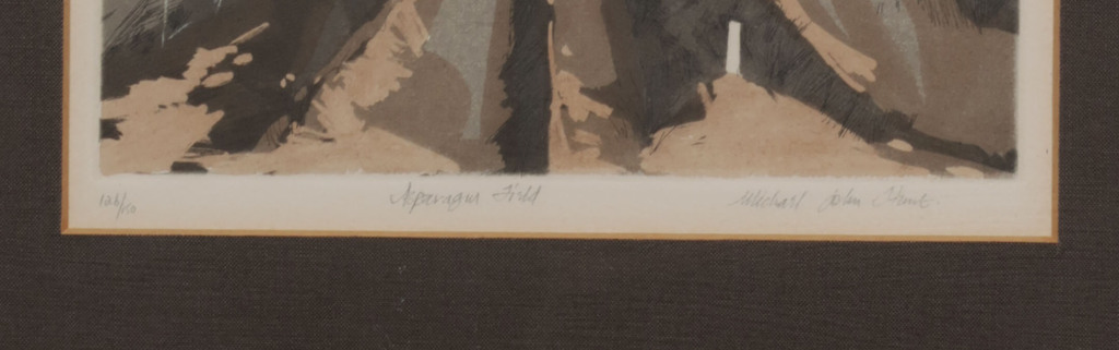 Michael John Hunt: Ets en Aquatint, Asparagus field - Ingelijst kopen? Bied vanaf 1!