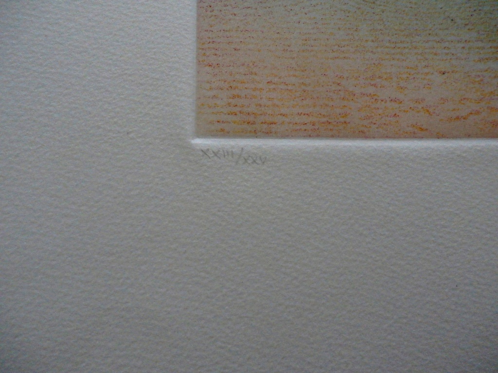 Nono Reinhold - 5 kleuren ets -1983 + gesigneerd gedicht Bert Schierbeek kopen? Bied vanaf 50!