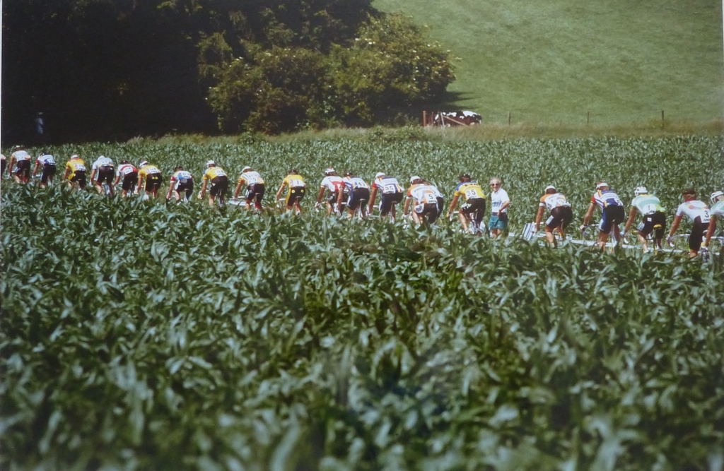 Klaas Jan van der Weij (Volkskrant)  foto: Wielrenners in Tour de France verkocht voor € 55!