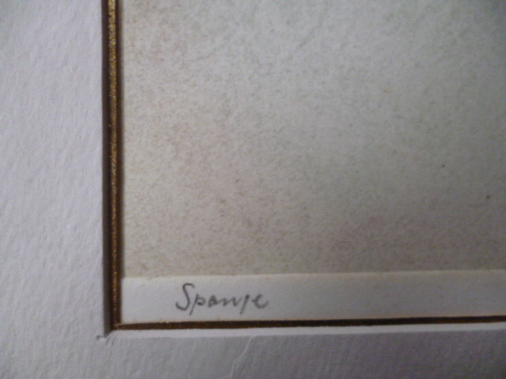 Spanje kopen? Bied vanaf 30!