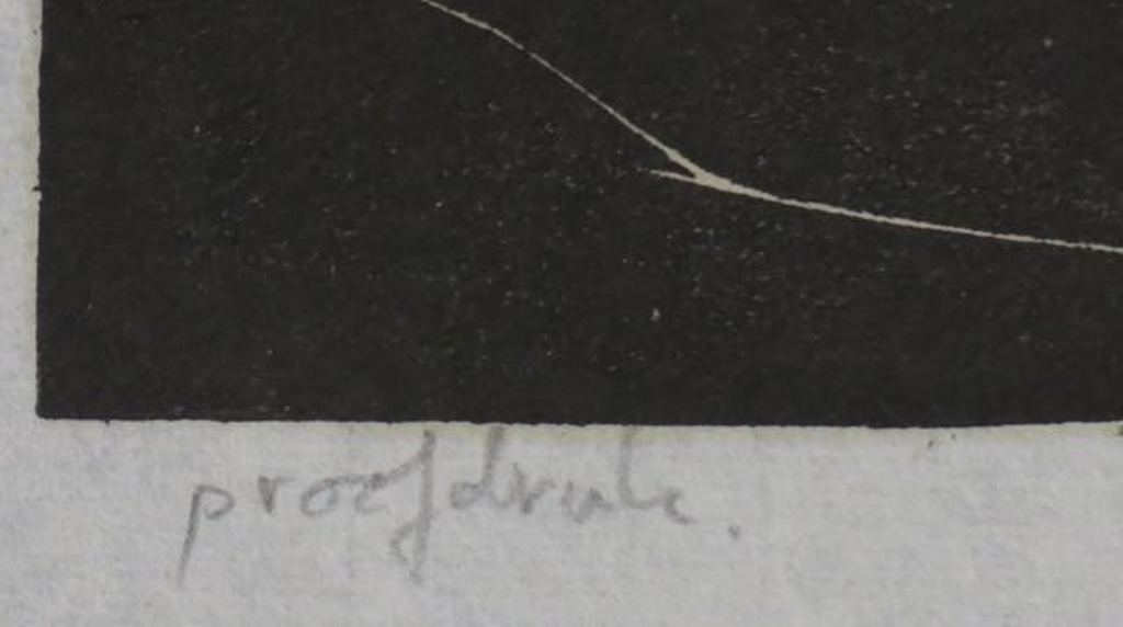 Marcel Reijerman: Lino, Zonder titel  kopen? Bied vanaf 1!