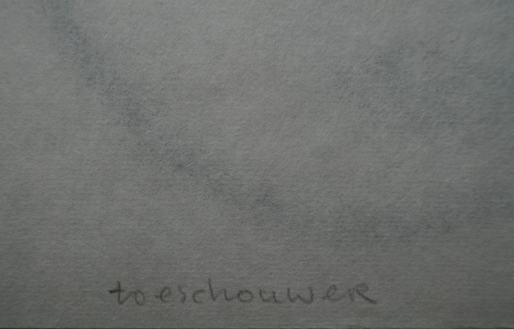 Christiaan van Tol - gesigneerde linoleum snede - toeschouwer kopen? Bied vanaf 10!