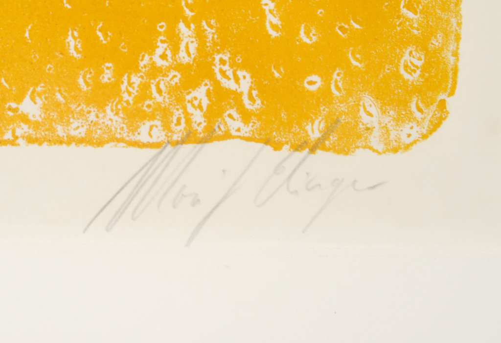 Moritz Ebinger: Monoprint, Fuur kopen? Bied vanaf 20!