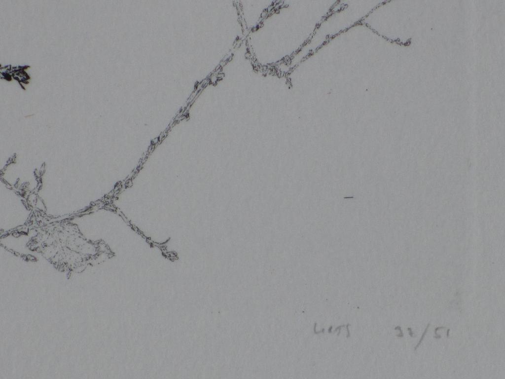 Reinder Homan, Jonge Eik, Ets kopen? Bied vanaf 85!