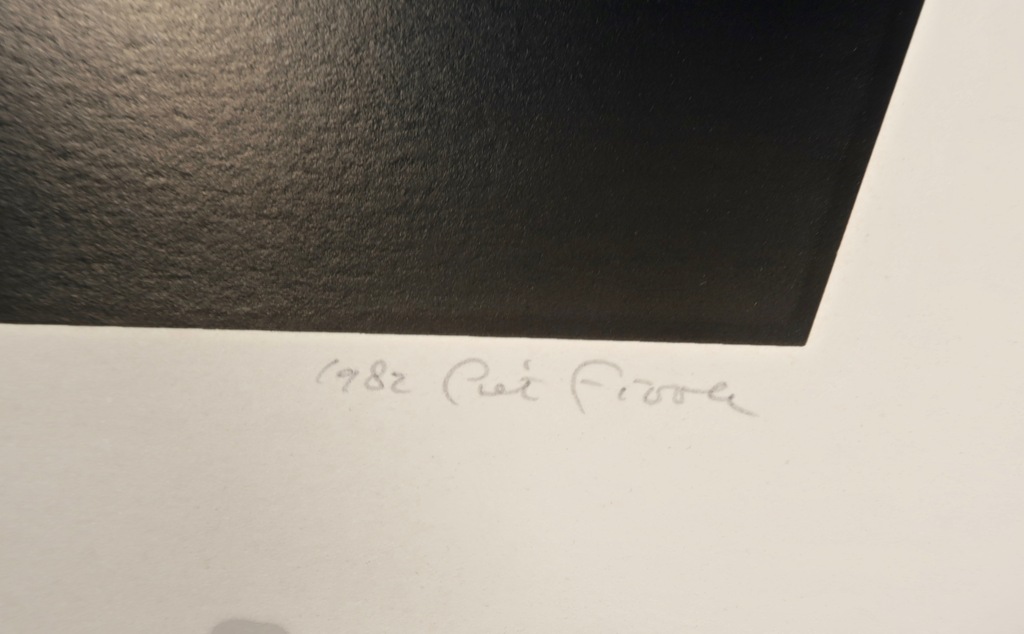 Piet Fioole: Zeefdruk, The teacher's house kopen? Bied vanaf 1!