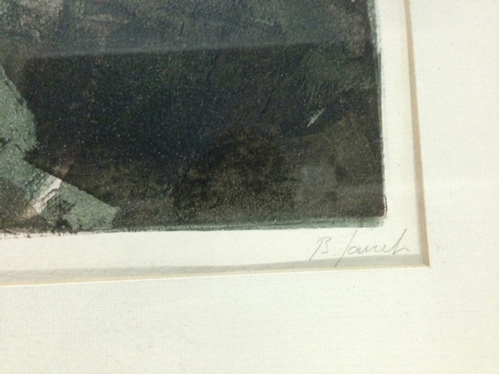 Prachtige kleurenets nr. 6/7- in lijst van 60 x 50 cm = hand gesigneerd  kopen? Bied vanaf 10!