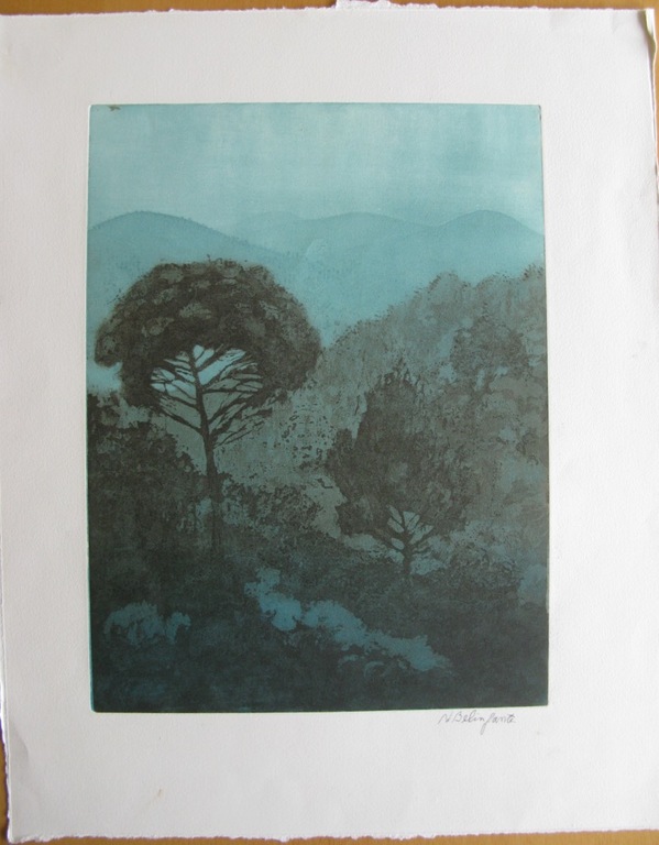 Willy Belinfante - SCHEMER IN DE PROVENCE - kleurets kopen? Bied vanaf 1!