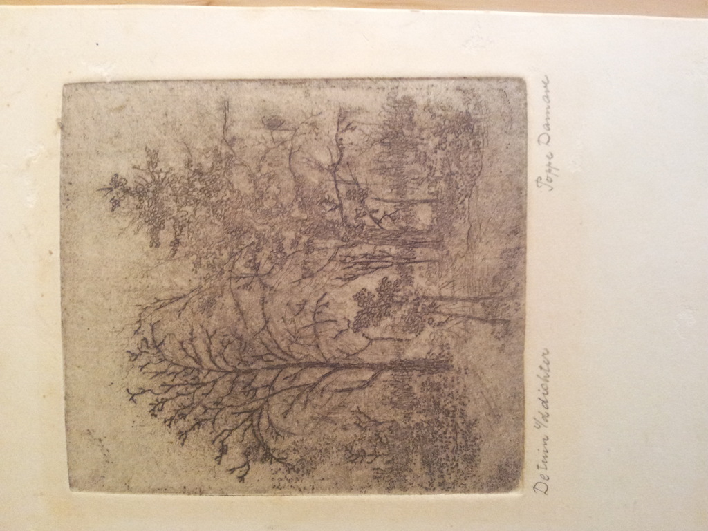 De tuin van de dichter kopen? Bied vanaf 1!