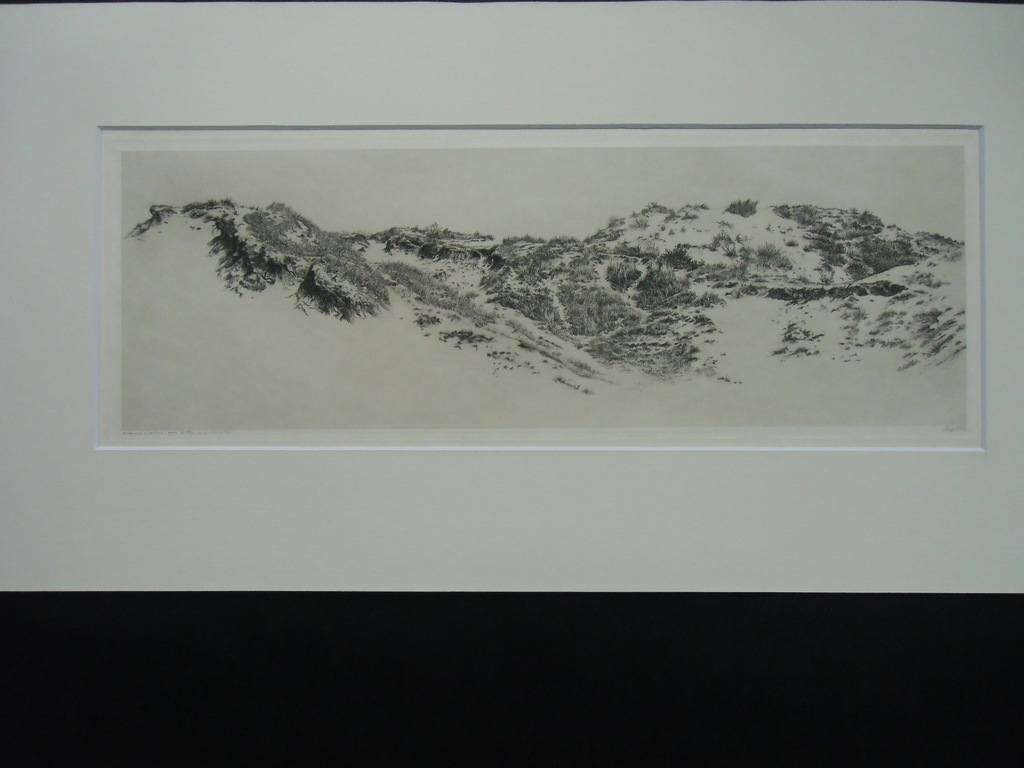 DUINLANDSCHAP  //  ETS VAN DIRK HARTING kopen? Bied vanaf 1!