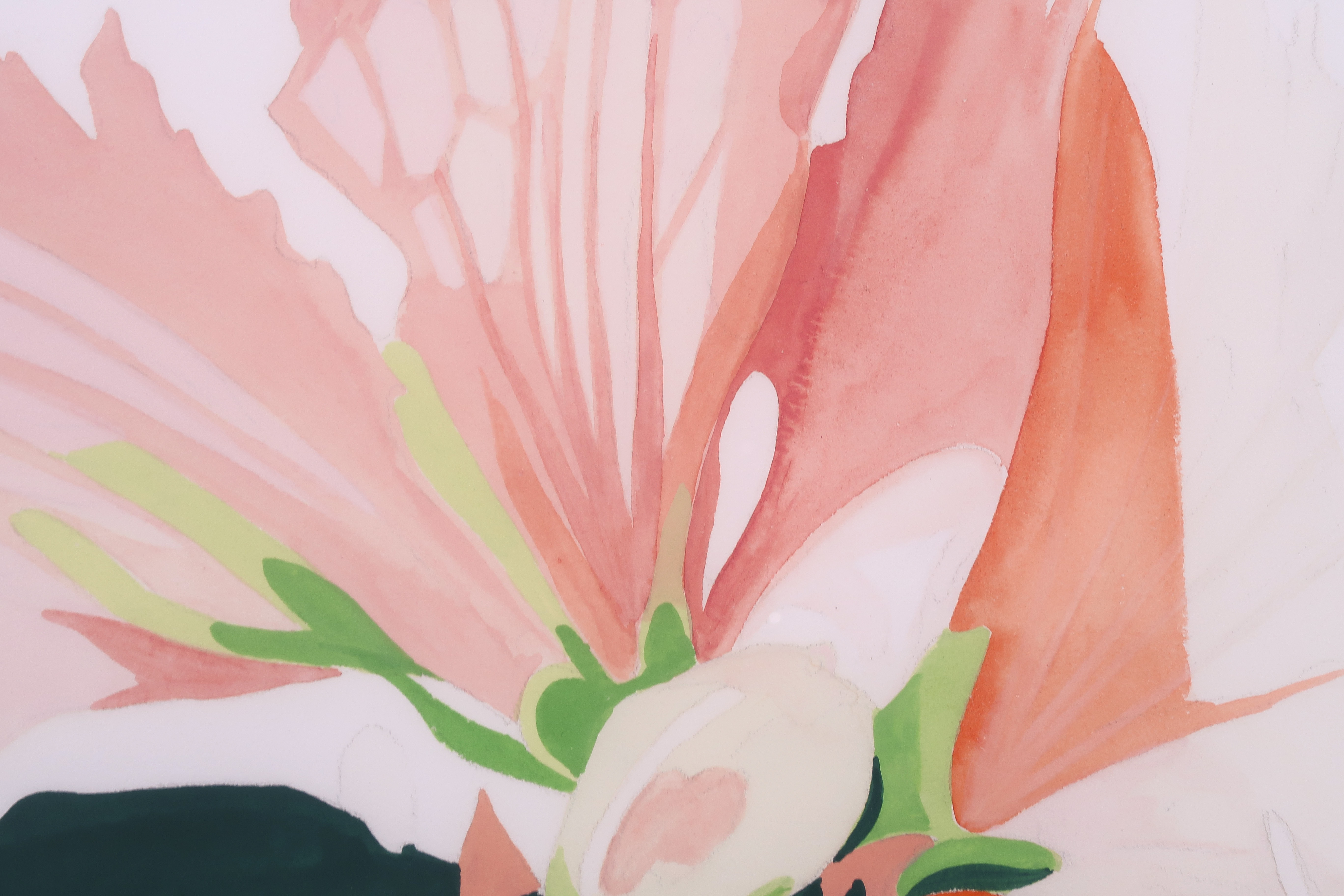 Niet of onleesbaar gesigneerd - Aquarel en potlood, Bloem in wit en oranje - Ingelijst kopen? Bied vanaf 1!