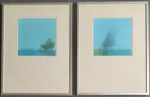 Gerard Carbo - 2 stuks aquarel - ingelijst verkauft für € 89!