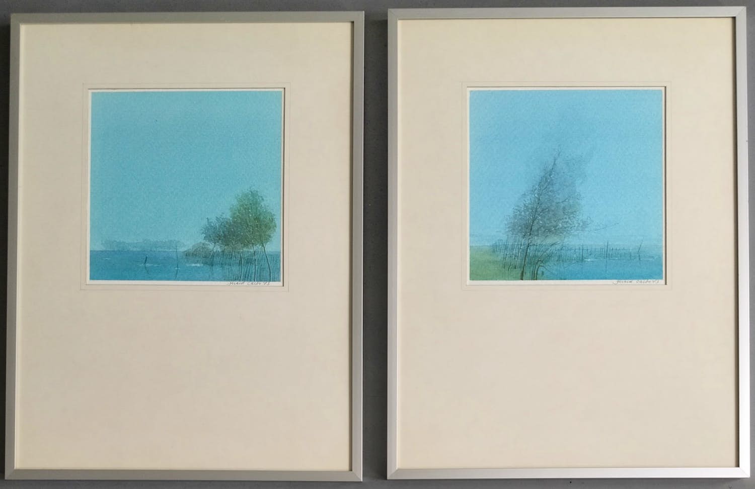 Gerard Carbo - 2 stuks aquarel - ingelijst kopen? Bied vanaf 69!
