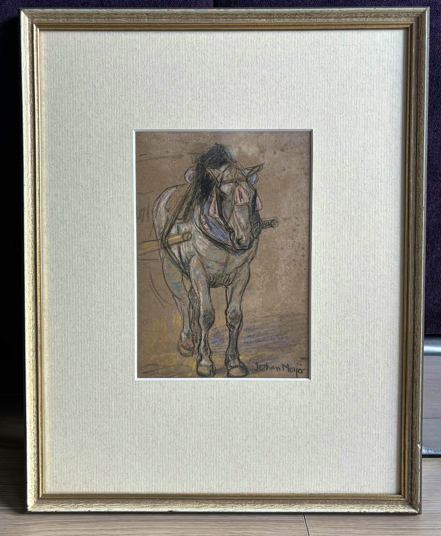 Johan Meijer - Trekpaard kopen? Bied vanaf 100!