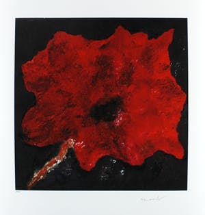Armando - Kleurengiclee DIE BLUME ROT Handgesigneerd kopen? Bied vanaf 159!