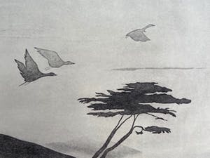 Colette Meltzer-Haesaerts - Touring High kopen? Bied vanaf 5!