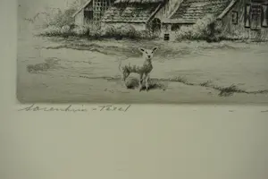 Maarten Langbroek - Boerderij Texel kopen? Bied vanaf 27!