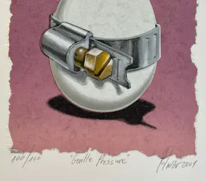 Sharon Amir - Gentle Pressure kopen? Bied vanaf 35!