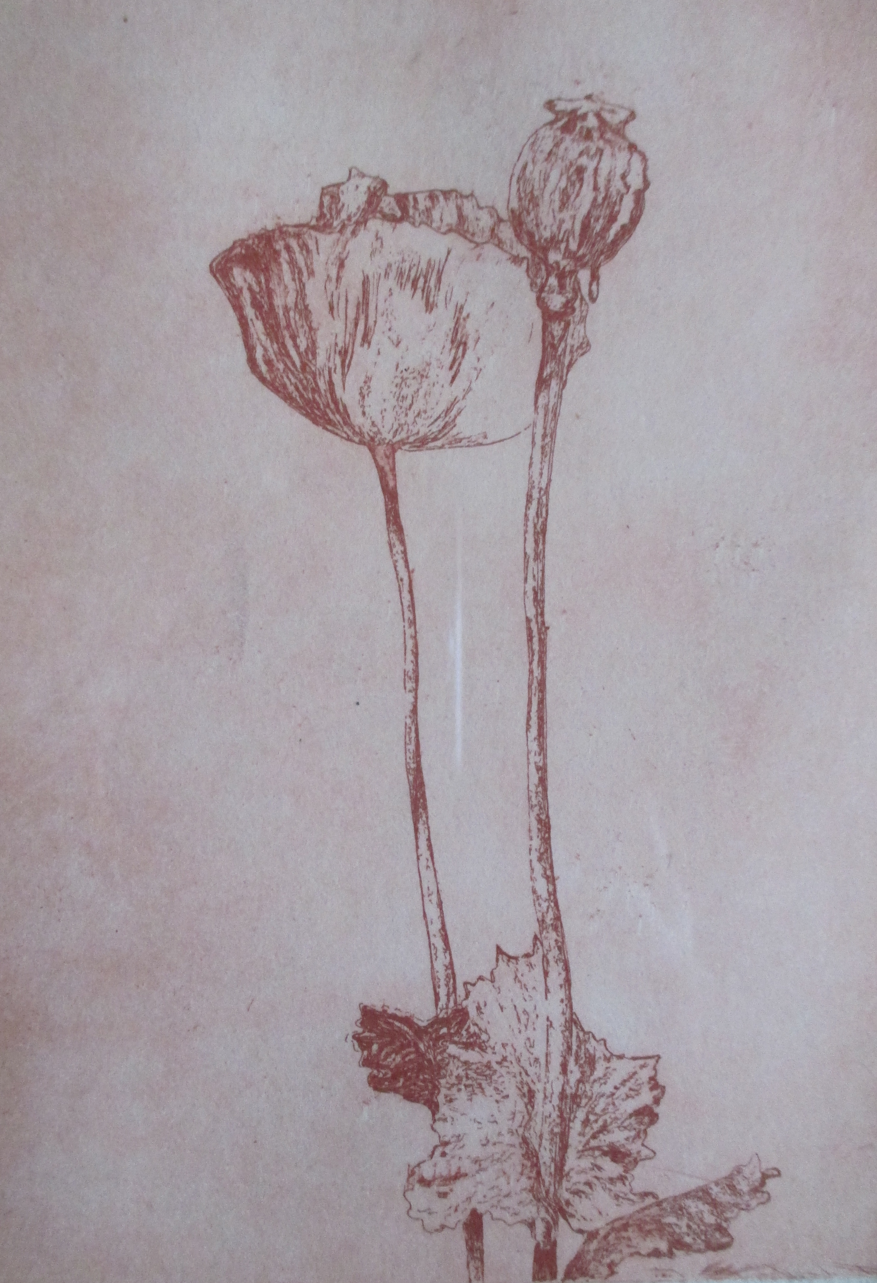 Niet of onleesbaar gesigneerd - Ingelijste ets kopen? Bied vanaf 1!