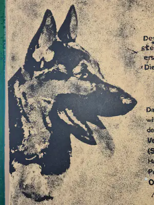 Jens Cords - 1932-2024 / Deutscher Schäferhund / Verein Hamburg Rahlstedt kopen? Bied vanaf 99!