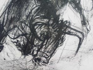 Piet Klaasse - Stier. Houtskool en waterverf. kopen? Bied vanaf 59!