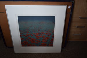 Hans Dolieslager - Klaprozen - kopen? Bied vanaf 120!