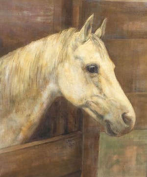 Wout Schram - C5173-2, Paardenhoofd "Jeep" jan. '55 kopen? Bied vanaf 750!