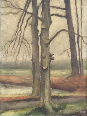 Mar Diemel - C4339 - Studie naar bomen kopen? Bied vanaf 50!