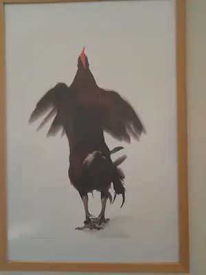 Koen Vanmechelen - Fighter kopen? Bied vanaf 740!