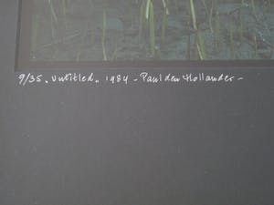 Paul den Hollander - UNTITLED kopen? Bied vanaf 55!
