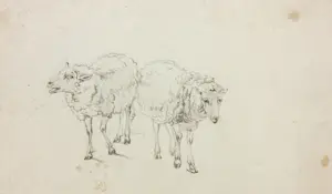 Niet of onleesbaar gesigneerd - Lot van diverse tekeningen kopen? Bied vanaf 1!