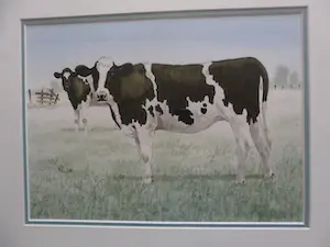 Wiebe A. van der Zee - Aquarel, Twee koeien op het land kopen? Bied vanaf 80!