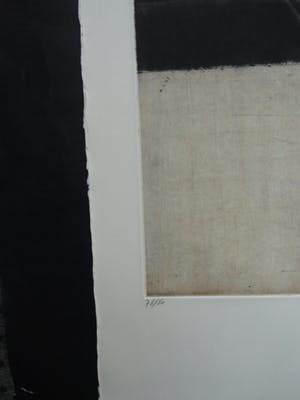 Brigitte Coudrain - ZONDER TITEL kopen? Bied vanaf 37!