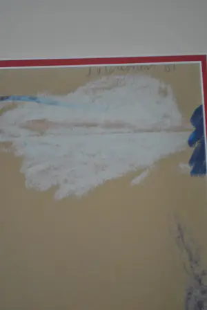 Jan van Diemen - Amerikaanse ijshockey speler. kopen? Bied vanaf 200!