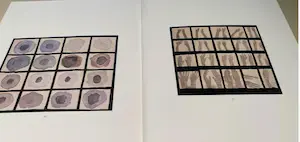 Luc Tuymans - Catalogus PMMK en Museum Hedendaagse Kunst 1990 kopen? Bied vanaf 1!