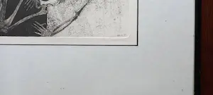 Andre Dieteren - De leven kopen? Bied vanaf 50!