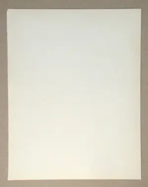 Max Ernst - Vogel - 1964 - Originele lithografie - Mourlot kopen? Bied vanaf 100!