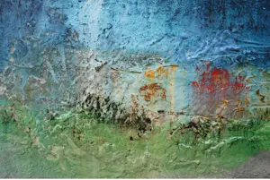 Buy Maurice Grothausen - DE IMPRESSIE VAN MIJN REIZEN OVER DE HELE WERELD 2012? Bid from 250!