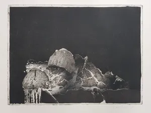 Jan Prins - Prachtige Ets - Gesigneerd in potlood kopen? Bied vanaf 15!