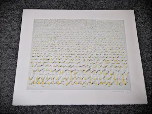 Jan Hein van Rooy - fraai portfolio met 2 Litho's "Westakker" en "Oostakker" - gesigneerd kopen? Bied vanaf 54!