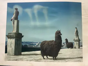 Carel Willink - Complete uitgave 6 zeefdrukken door G.I.N. Gallery kopen? Bied vanaf 50!